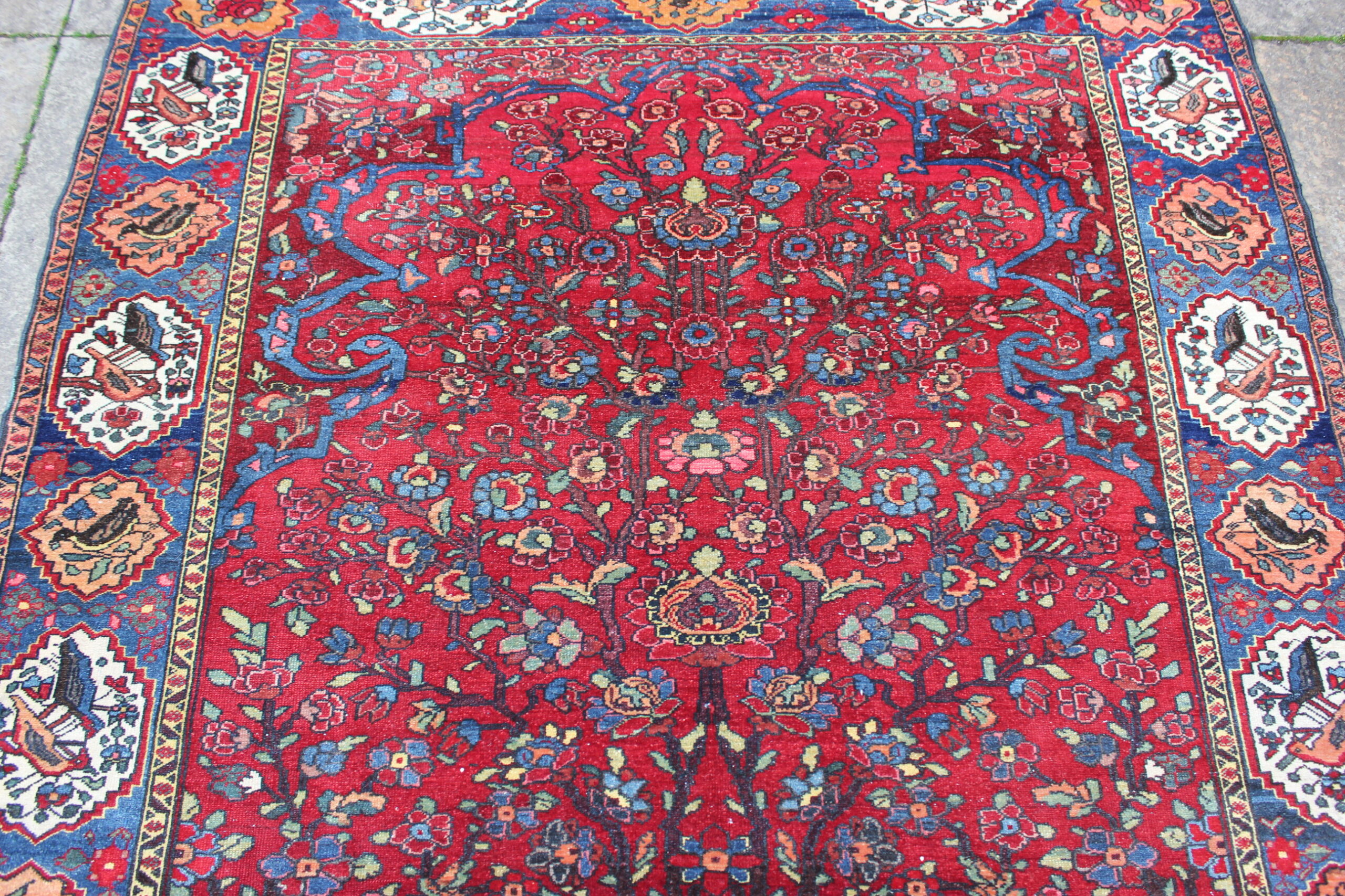 Antique Baktiari Rug - Image 4
