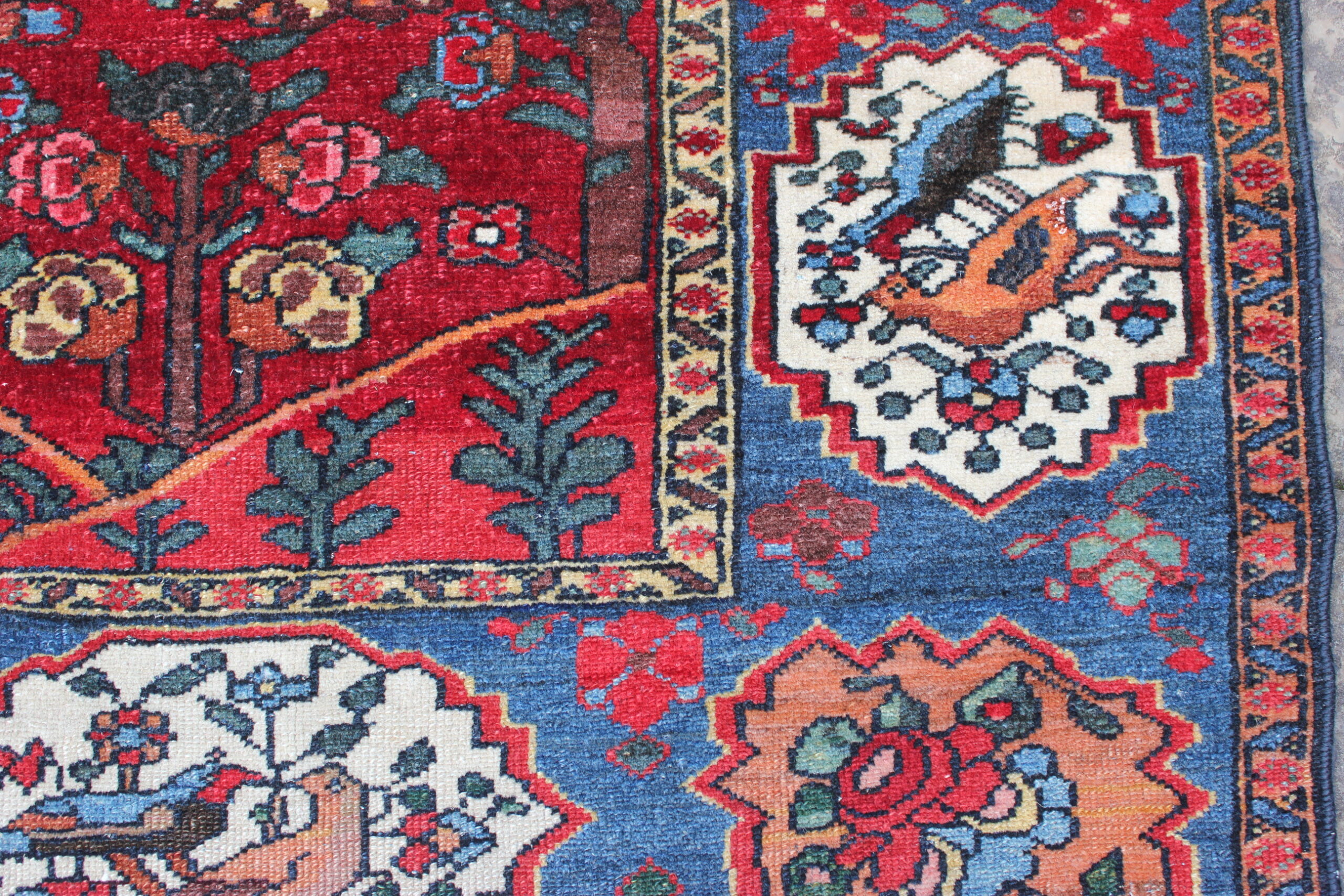 Antique Baktiari Rug - Image 5